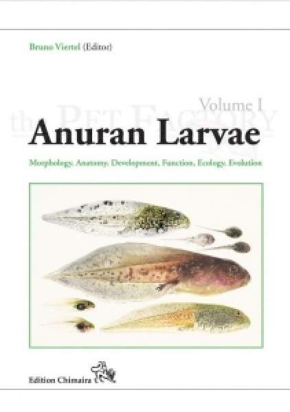 Anuran Larvae 1